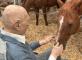 A la rencontre des chevaux, au centre équestre de Suresnes  Résidence Tiers Temps Suresnes